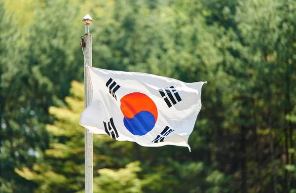 The Korean flag is fluttering in the forest