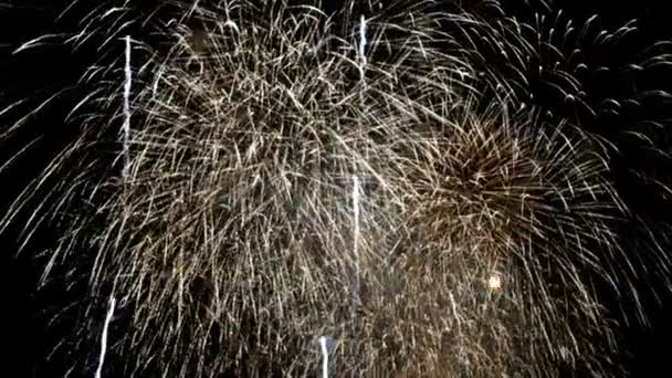 Fuochi Artificio Festivi Sulla Città Fuochi Artificio — Video Stock