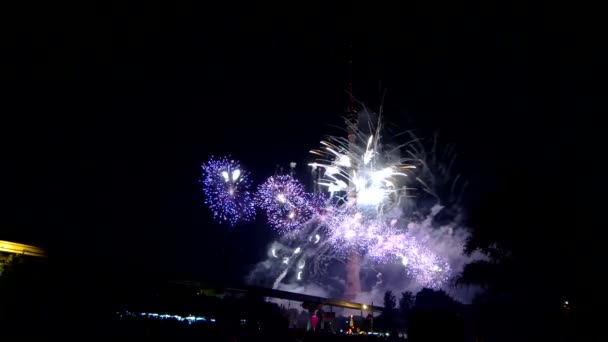 Şehir Fireworks Festival Fireworks — Stok video