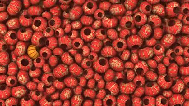 Nouvel An chinois / Contexte 