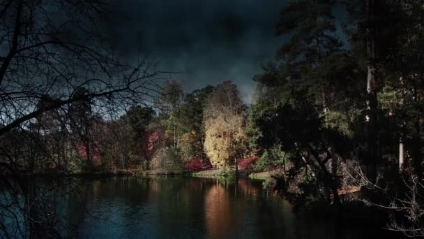 Lluvia Lago — Vídeo de stock