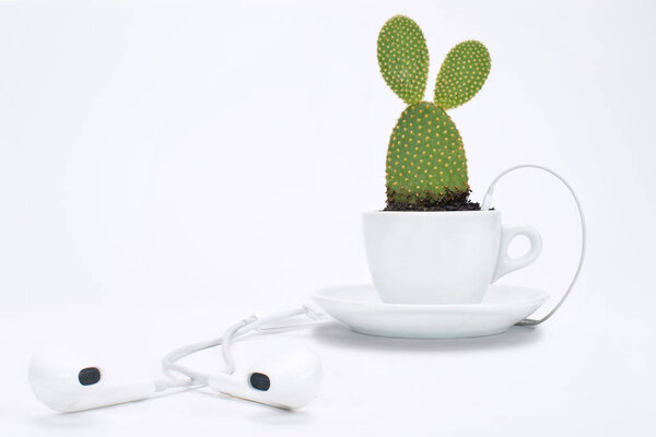 Cup of tea with plant and headphone