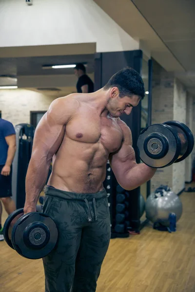 Muscular torso and hands with dumbbells of man standing in gym hall. — Stock Photo, Image