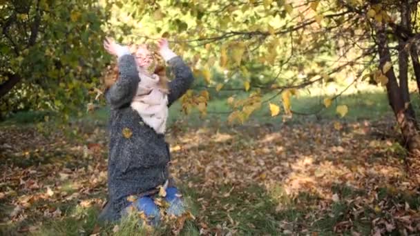 feuilles jaunes est en place 