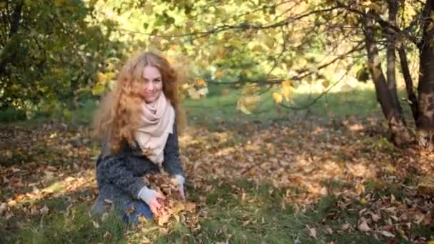 automne dans le parc