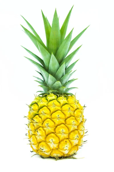 Verse ananasvruchten Stockfoto