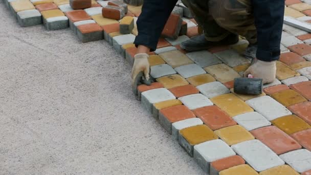 Pose de dalles de pavage par mosaïque gros plan. Pavage routier, construction . — Video