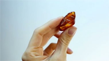 Amber fosilleşmiş ağaç reçinesi olduğunu.