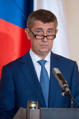 Çek girişimci ve politikacı Andrej Babis