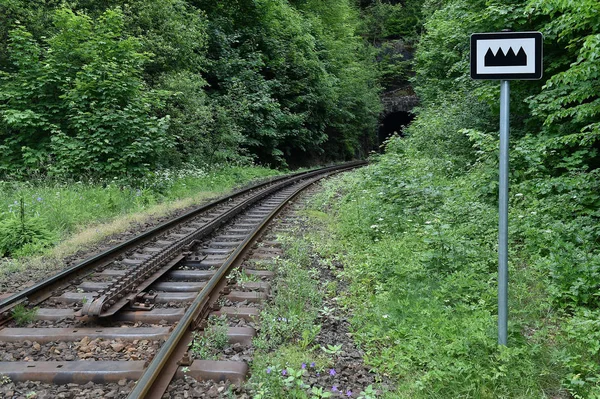 Tandrad spoorlijn — Stockfoto