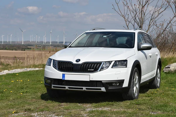 Skoda Octavia Scout — Stock Fotó