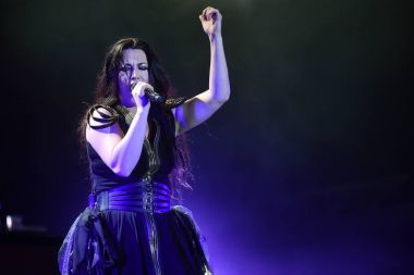 Evanescence - Amy Lee