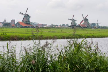 Zaanse tarlalarında yel değirmenleri