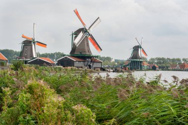 Zaanse tarlalarında yel değirmenleri