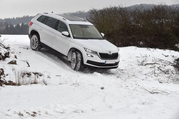 Tynec Nad Sazavou República Checa Enero 2017 Skoda Kodiaq Cerca —  Fotos de Stock