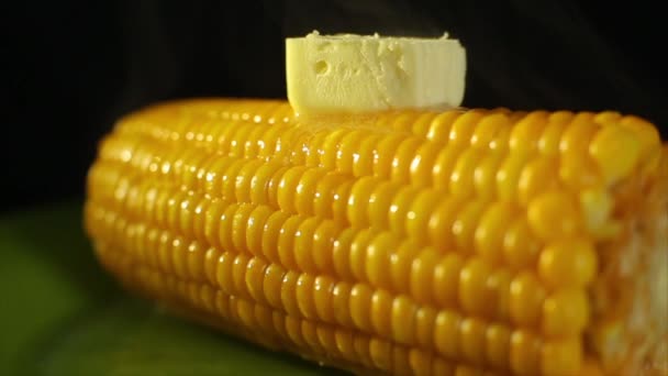 Piece of butter slowly melting on the cob fresh hot boiled corn. — Stock Video