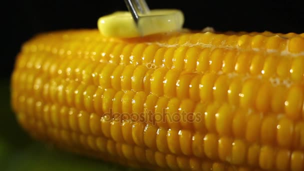 Piece of butter slowly melting on the cob fresh hot boiled corn. — Stock Video
