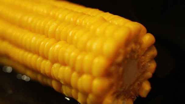 Glide along the corn — Stock Video