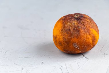 Modaya uygun, çirkin, organik turuncu, gri taştan bir arka planda. Tuhaf, sıra dışı meyve ya da yiyecek atığı konsepti. Yatay oryantasyon. Boşluğu kopyala. 