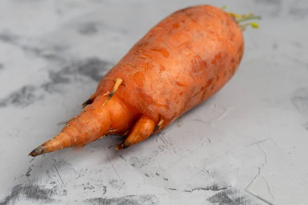 Модна Потворна Органічна Морква Сірому Кам Яному Фоні Смішна Незвичайна — стокове фото