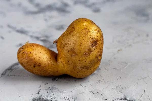 Модна Потворна Органічна Картопля Сірому Кам Яному Фоні Забавна Незвичайна — стокове фото