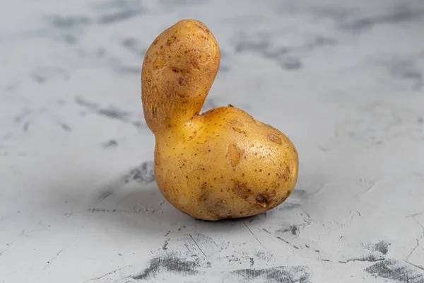 Trendy Lelijke Biologische Aardappelen Een Grijze Stenen Achtergrond Grappig Ongewoon — Stockfoto