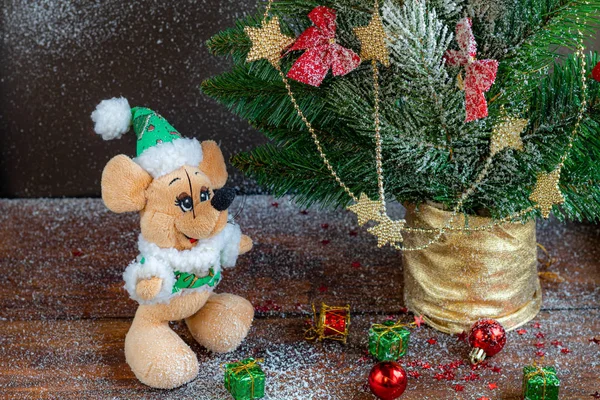 Рождественская Крыса Возле Снежной Ветки Новый Год Праздничное Настроение Новогодние — стоковое фото