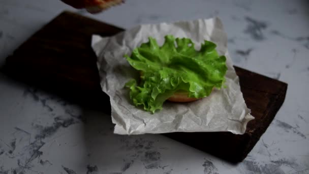 Hamburgert Főzök Otthon Fázisos Elrendezést Nagy Étvágygerjesztő Burger Csirke Szelet — Stock videók