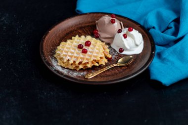 Geleneksel Belçika waffleları. Taze meyve, pudra şekeri ve kakao serpiştirilmiş. Kahvaltıda komposto ya da kahveyle birlikte yiyebilirsin. Tatil kahvaltısı. Boşluğu kopyala