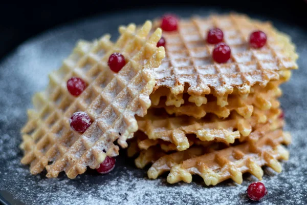 Traditional Belgian waffles with fresh fruits, sprinkled with powdered sugar and cocoa. You can eat for breakfast with compote or coffee. Holiday breakfast. Copy space.