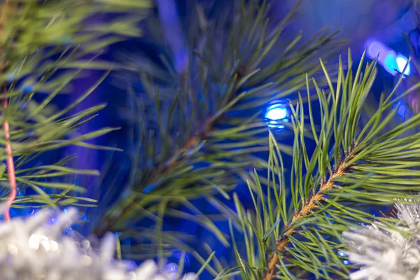 Kerstboom versierd met speelgoed en sprankelingen. Tegen de achtergrond van blauw, trend 2020. — Stockfoto