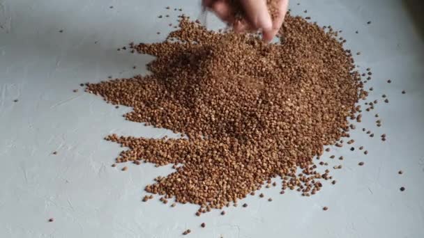 Buckwheat masih mentah. Diukur untuk memasak bubur. Pada latar belakang abu-abu — Stok Video