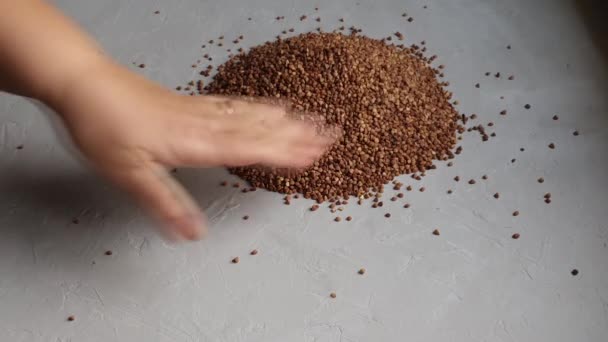 El trigo sarraceno está crudo. Medido para cocinar gachas. Sobre un fondo gris — Vídeos de Stock