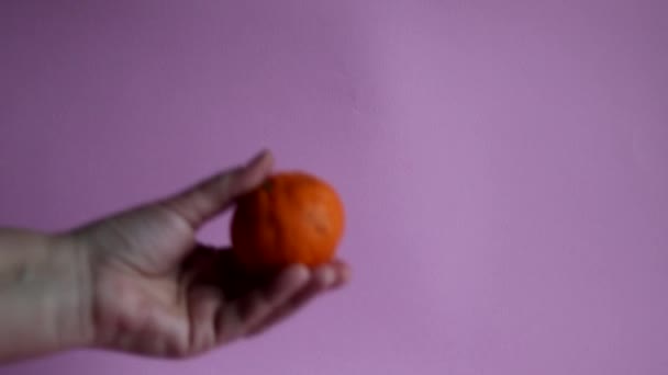 Mandarinas Una Mano Sobre Fondo Rosa Comida Vegetariana Fresca Alimentación — Vídeos de Stock