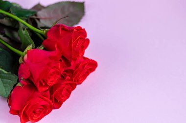 Anneler Günü, Kadınlar Günü, Sevgililer Günü ya da pembe bir arka planda doğum günü. Güller ve paket paketleri. Tebrik bayrağı, kart.