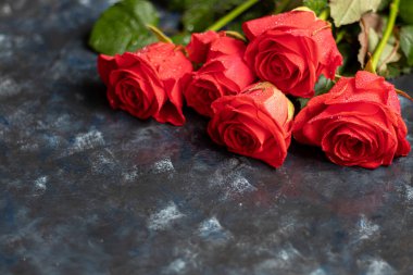 Anneler günü, kadınlar günü, sevgililer günü ya da koyu mavi bir arka planda doğum günü. Güller ve paket paketleri. Tebrik bayrağı, kart.