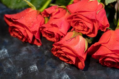 Anneler günü, kadınlar günü, sevgililer günü ya da koyu mavi bir arka planda doğum günü. Güller ve paket paketleri. Tebrik bayrağı, kart.