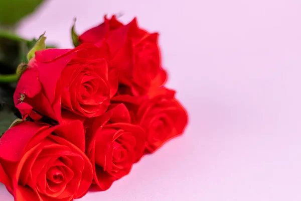 母亲节，母亲节，情人节或生日的粉红背景。 玫瑰和盒子包装。 祝贺横幅，卡片. — 图库照片