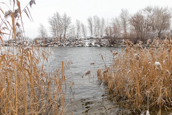 Zimowa natura. Zima jest nienormalna, woda płynie do rzeki i nie zamarza. Było bardzo mało śniegu. Globalne ocieplenie. Katastrofa ekologiczna. — Zdjęcie stockowe