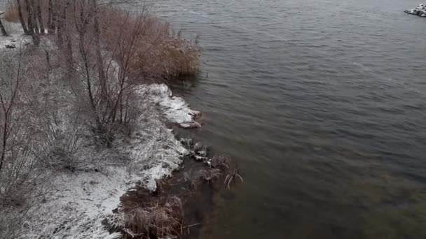 Natura Invernale Inverno Anomalo Acqua Scorre Nel Fiume Non Congela — Video Stock