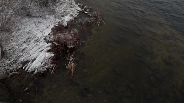 Vinternatur Onormal Vinter Strömmar Vatten Floden Och Fryser Inte Det — Stockvideo