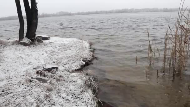Winternatur Abnormalen Winter Fließt Wasser Den Fluss Und Friert Nicht — Stockvideo