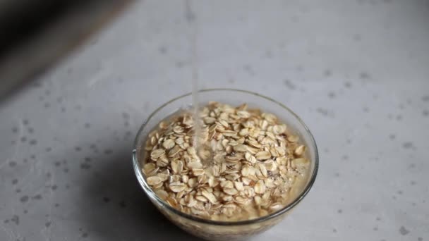 Raw Oatmeal Transparent Bowl Prepared Brewing Porridge Healthy Food Light — Stock Video