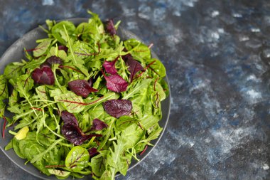 Yeşil taze marul, ıspanak, roka ve taze pancar karışımı. Sağlıklı beslenme. Vejetaryen kahvaltısı. Karanlık bir arka planda.