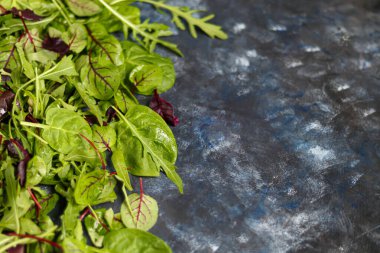 Yeşil taze marul, ıspanak, roka ve taze pancar karışımı. Sağlıklı beslenme. Vejetaryen kahvaltısı. Karanlık bir arka planda.