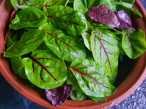 Una mezcla de lechuga verde joven, espinacas, rúcula y remolacha joven. Dieta saludable. Desayuno vegetariano. Sobre un fondo oscuro . —  Fotos de Stock