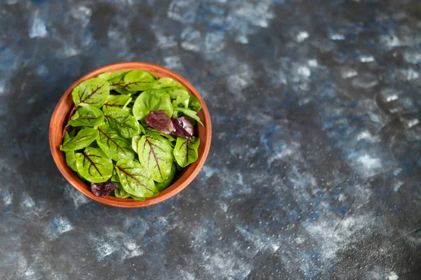 Una mezcla de lechuga verde joven, espinacas, rúcula y remolacha joven. Dieta saludable. Desayuno vegetariano. Sobre un fondo oscuro . —  Fotos de Stock