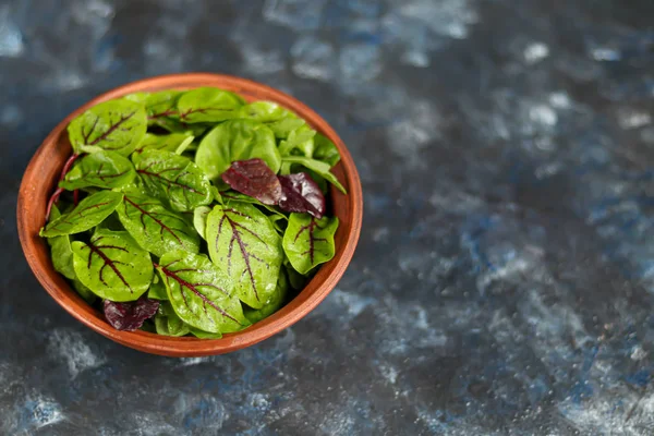 Una mezcla de lechuga verde joven, espinacas, rúcula y remolacha joven. Dieta saludable. Desayuno vegetariano. Sobre un fondo oscuro . —  Fotos de Stock