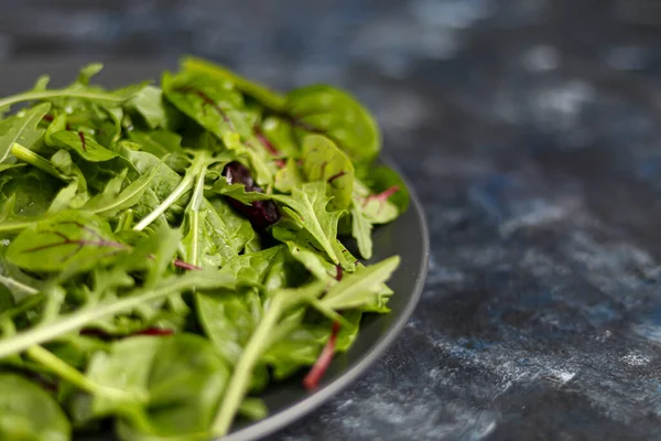 Una mezcla de lechuga verde joven, espinacas, rúcula y remolacha joven. Dieta saludable. Desayuno vegetariano. Sobre un fondo oscuro . —  Fotos de Stock