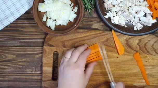 Trancher Les Ingrédients Pour Plat Riz Avec Des Légumes Plat — Video